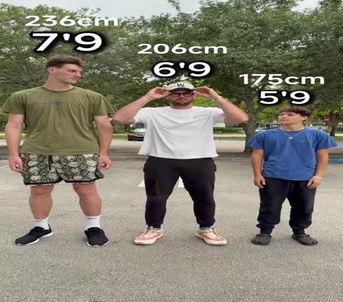 身高2米36的巨人第一视角看2米06和1米75的有多矮