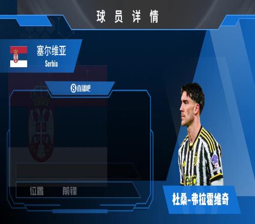 球员集锦：塞尔维亚全能前锋弗拉霍维奇